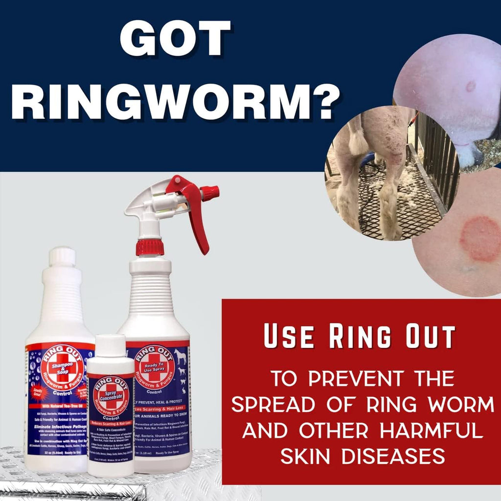 FlexTran Ring Out shampoo and concentrate bottles