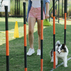 Durable green dog waste management bags individual roll separation