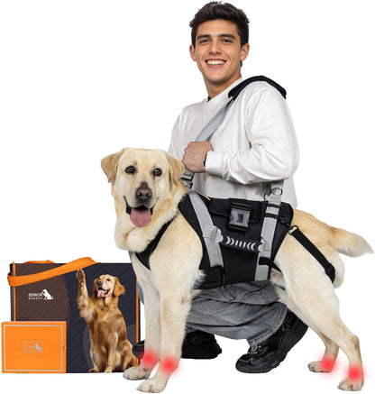 Senior Budday black dog lift harness front view