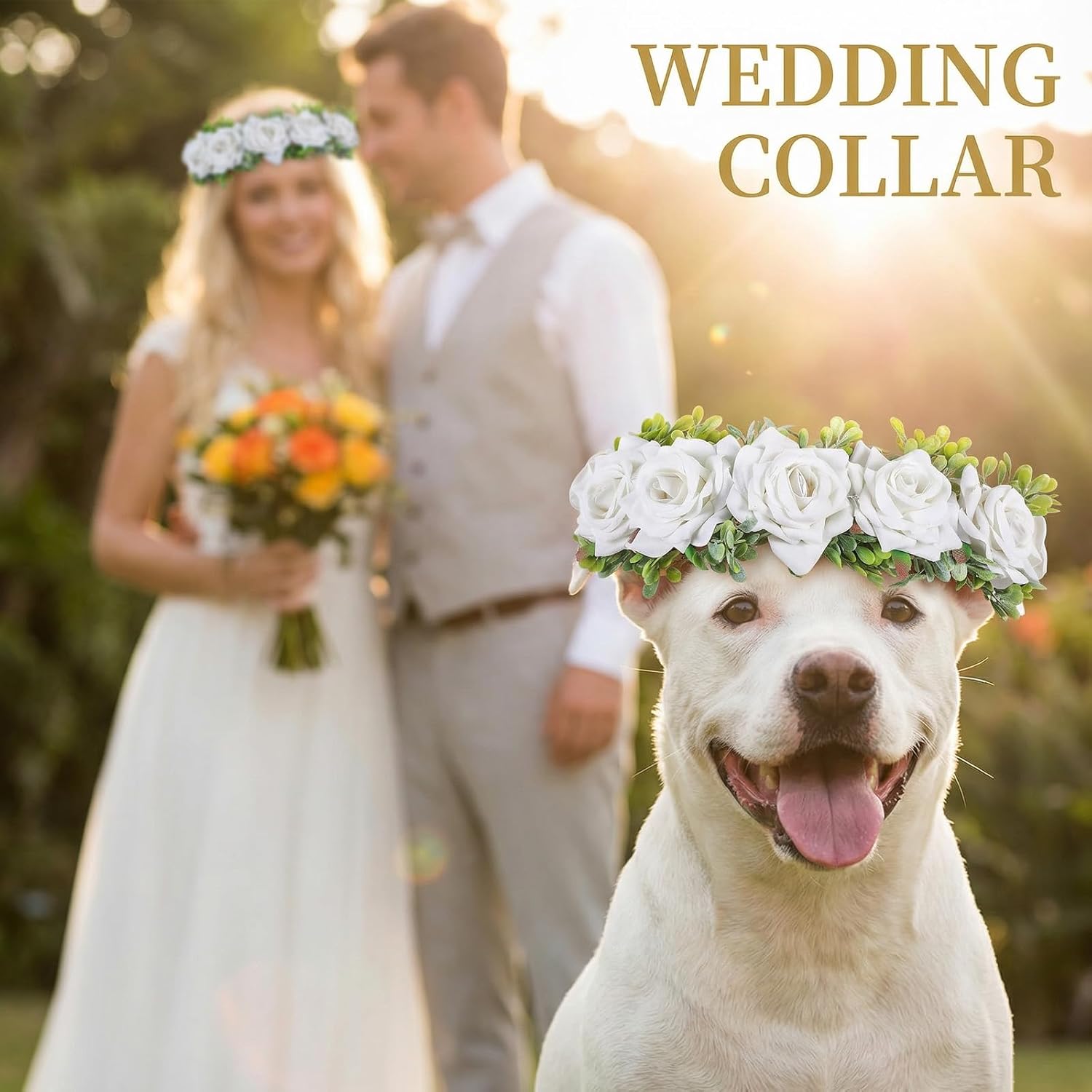 Quilax dog wedding attire garland being adjusted on a small puppy.