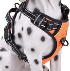 Poypet no pull harness size medium product packaging