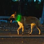 Three light mode settings display on LED dog collar
