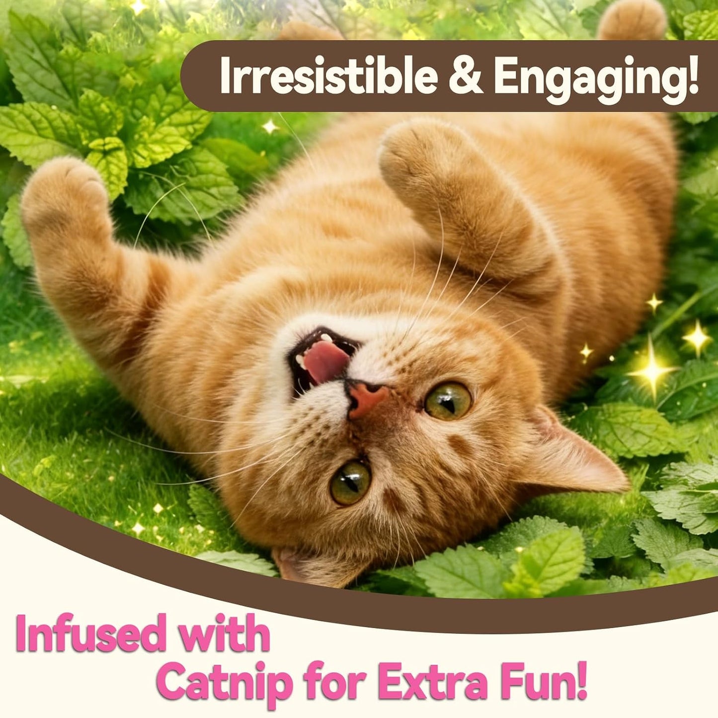 Adult cat enjoying premium imported catnip training snacks
