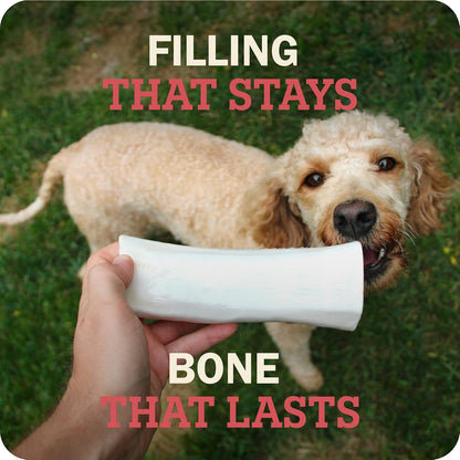 Redbarn Pet Products Large Filled Dog Bones, Cheese & Bacon Flavor - Long Lasting Stuffed Femur Chew Treat Made in USA - 4 Count - Packaging May Vary - Image 10