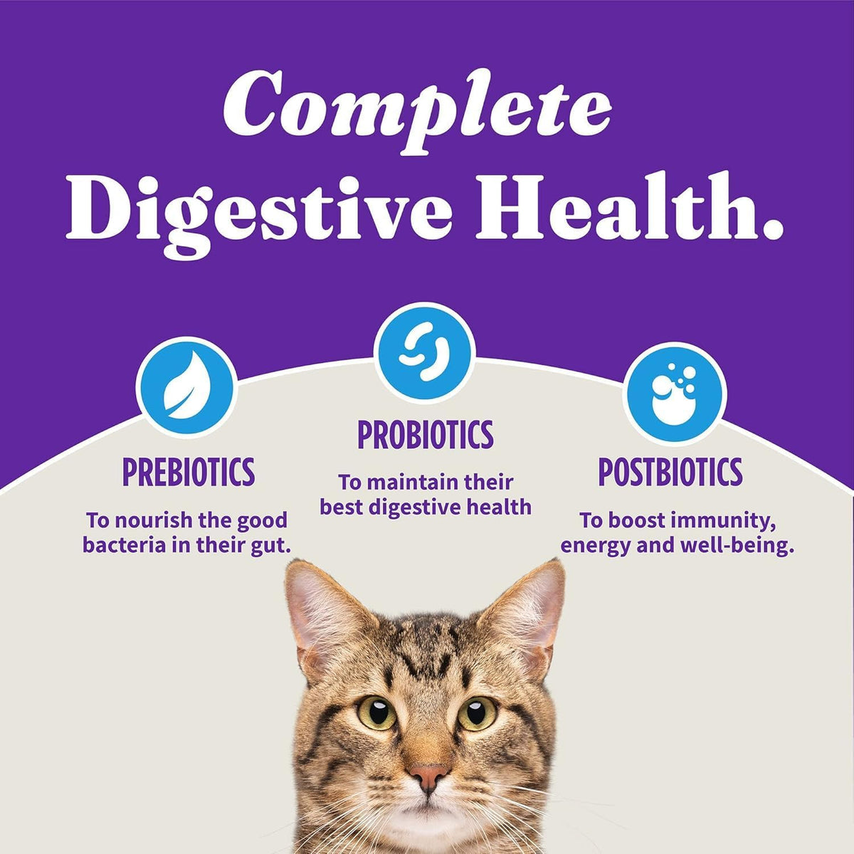 Premium imported Halo Holistic cat food for sensitive stomachs