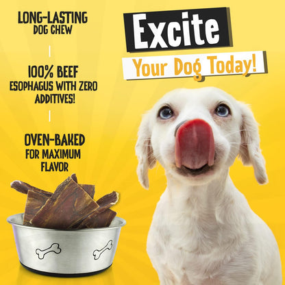 Senior dog enjoying a soft and highly digestible beef gullet chip chew