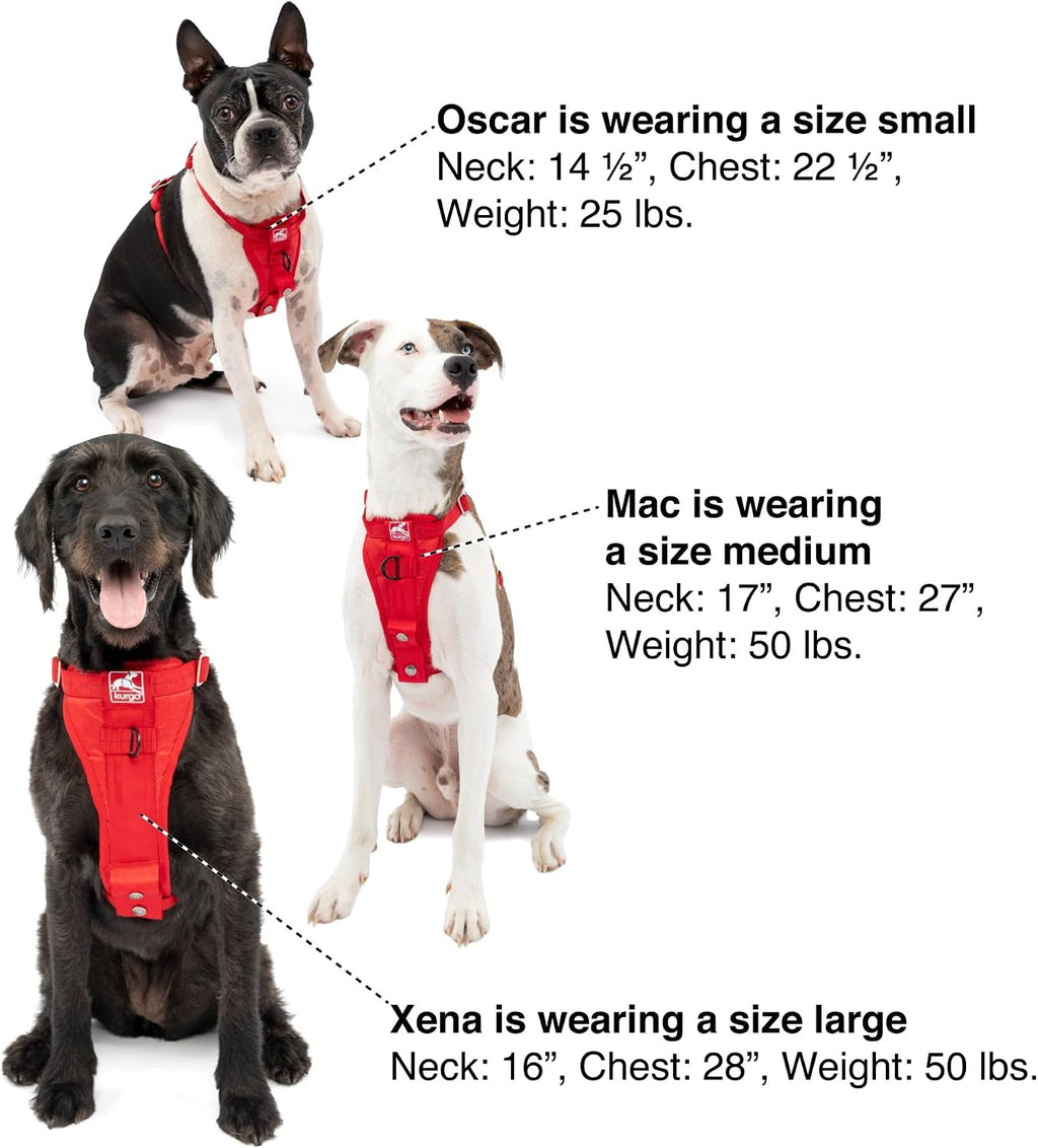 Kurgo crash test certified safety harness side profile