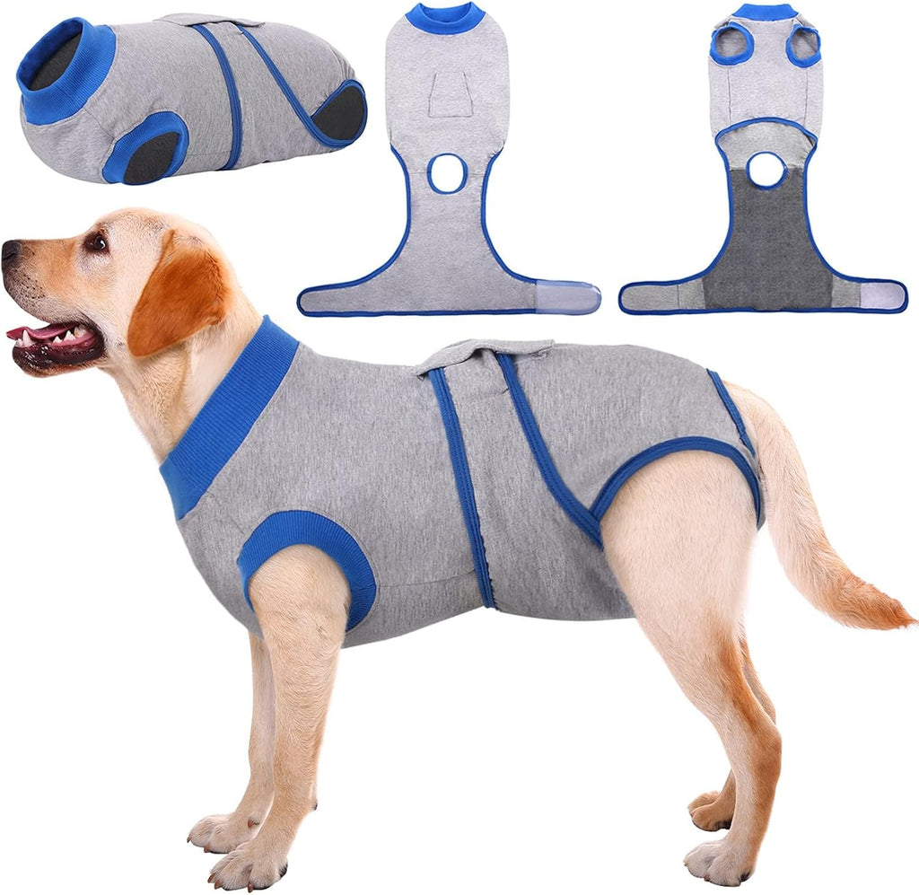 Dog comfortable in Kuoser abdominal wound protection suit