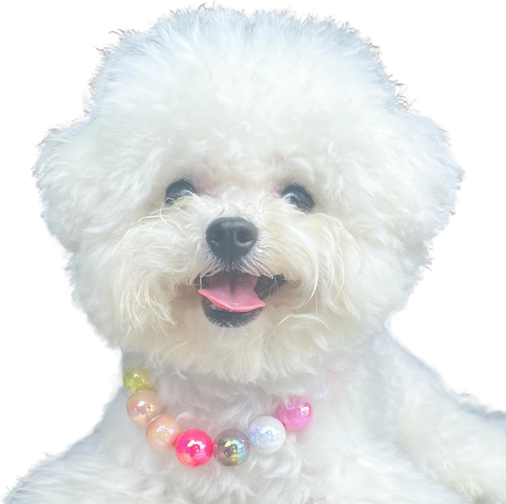 Kepudengen colorful beaded pet jewelry showing the adjustable extension chain and secure metal clasp details
