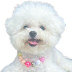 Kepudengen colorful beaded pet jewelry showing the adjustable extension chain and secure metal clasp details