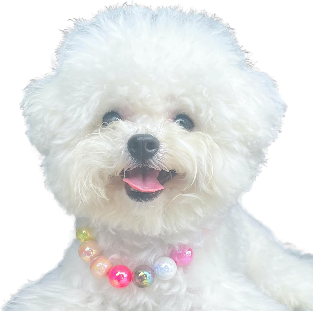 Kepudengen colorful beaded pet jewelry showing the adjustable extension chain and secure metal clasp details