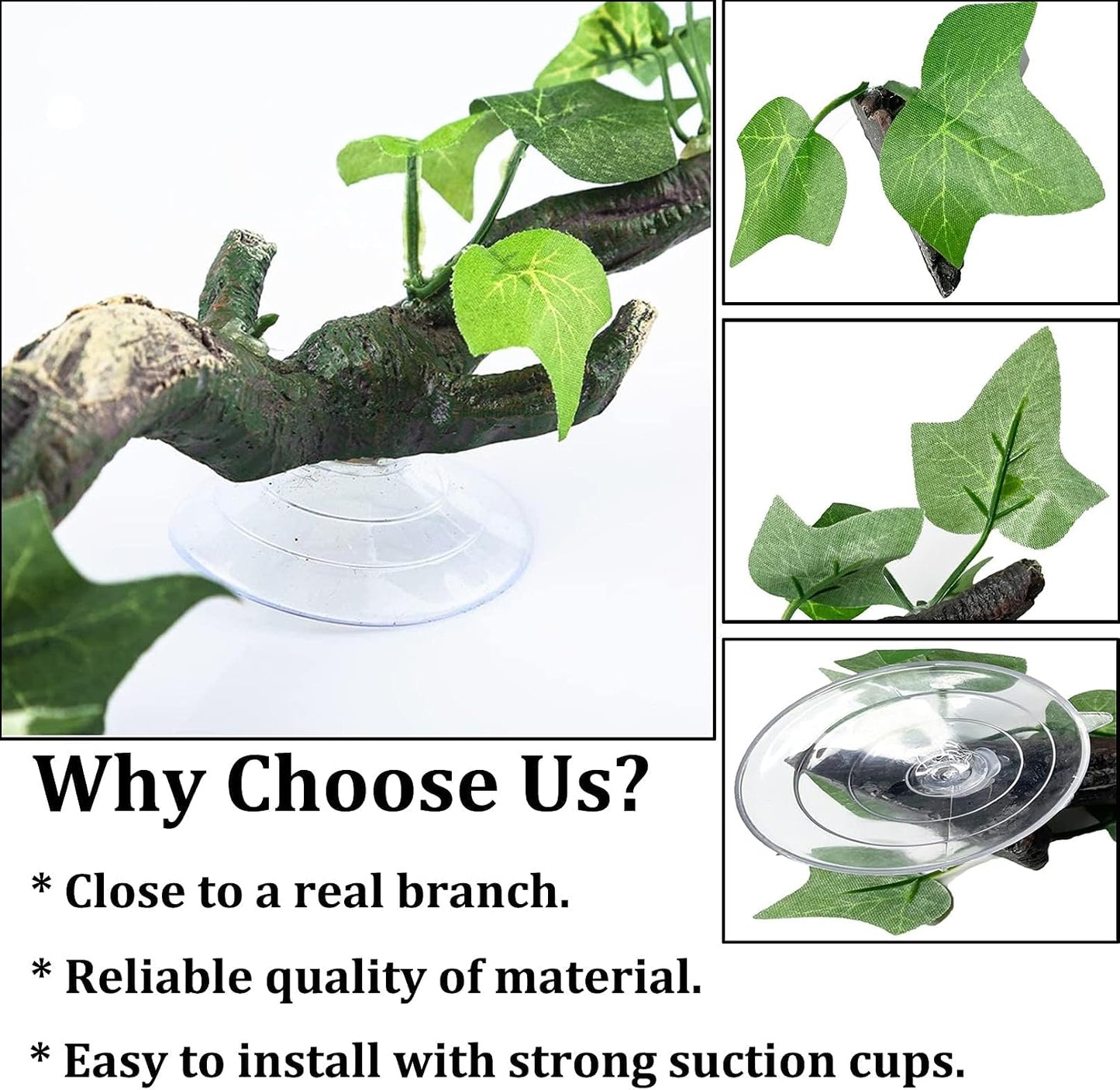 Close up of PINVNBY reptile branch suction cup attachment
