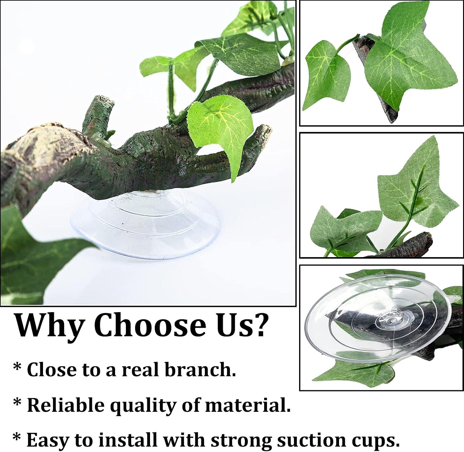 Close up of PINVNBY reptile branch suction cup attachment