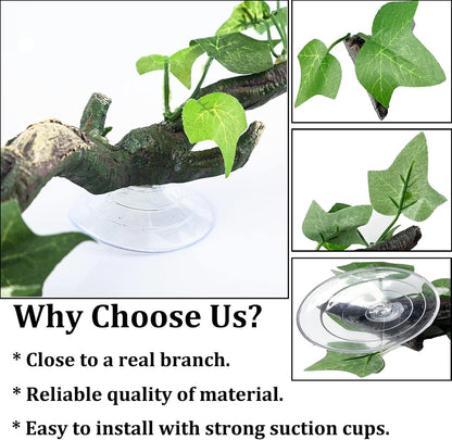 Close up of PINVNBY reptile branch suction cup attachment