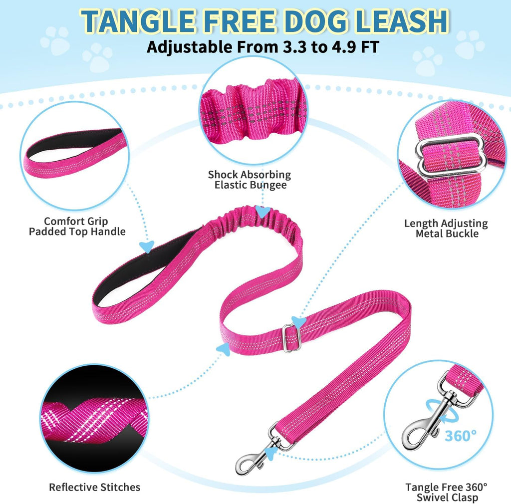 SlowTon anti-twist bungee leash and harness set