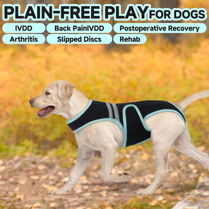 LETSQK dog back bracer authentic packaging and size chart