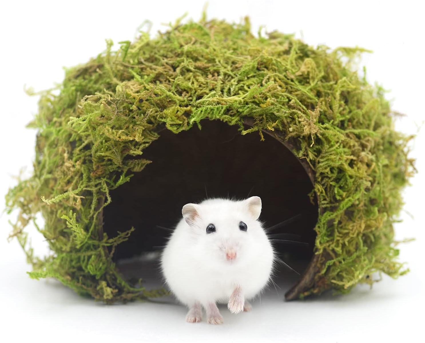 Hamster Hideout - Large, Natural Moss, Handcrafted for Syrian Hamsters, Rats & Guinea Pigs, Safe & Eco-Friendly - Image 1