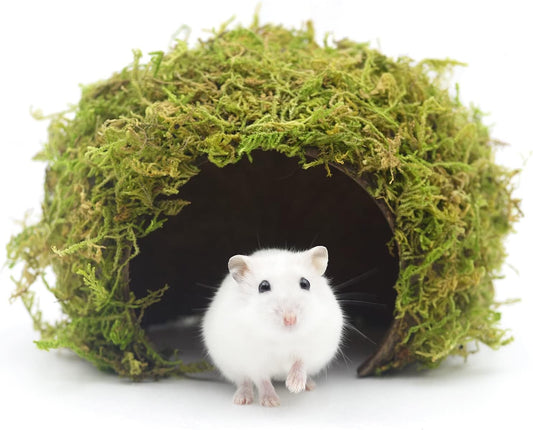 Hamster Hideout - Large, Natural Moss, Handcrafted for Syrian Hamsters, Rats & Guinea Pigs, Safe & Eco-Friendly - Image 1