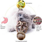 Gochanmon catnip toy set for dental health