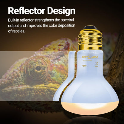 Infrared nightlight heating lamp emitting soft ambient warmth for nocturnal reptile viewing