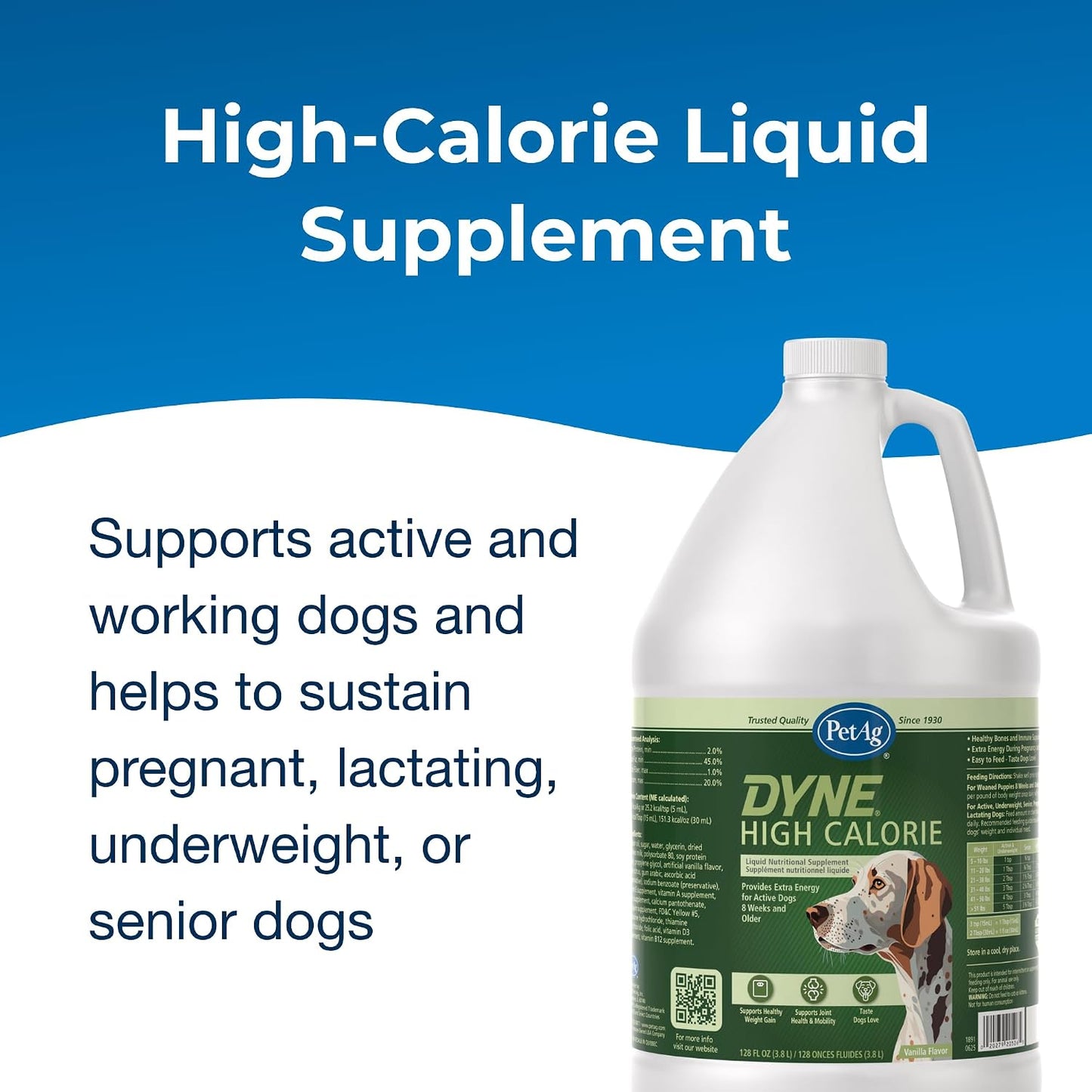 PetAg Dyne liquid supplement for active dogs and puppies
