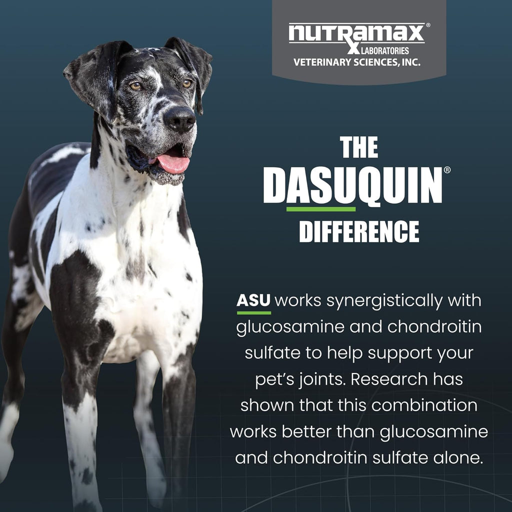 Nutramax Dasuquin large breed joint health product container