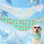 Expawlorer dog cooling bandana 2 pack front view