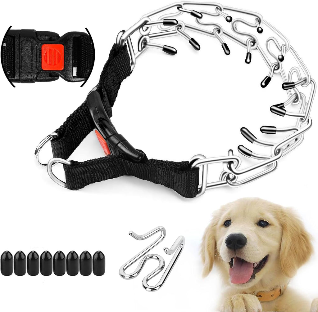 Supet dog prong collar front view with metal finish