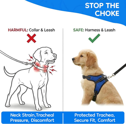 Reflective strips on Copatchy dog harness in low light