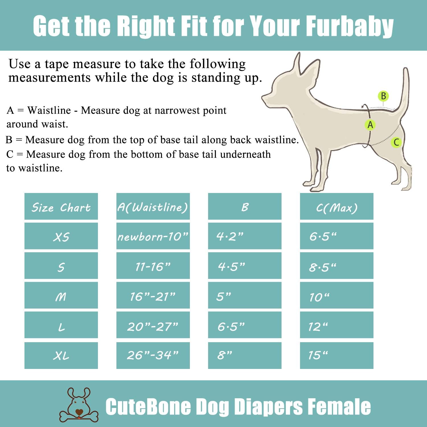 CuteBone reusable puppy training diapers showing elastic leg bands design
