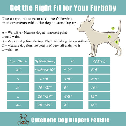 CuteBone reusable puppy training diapers showing elastic leg bands design