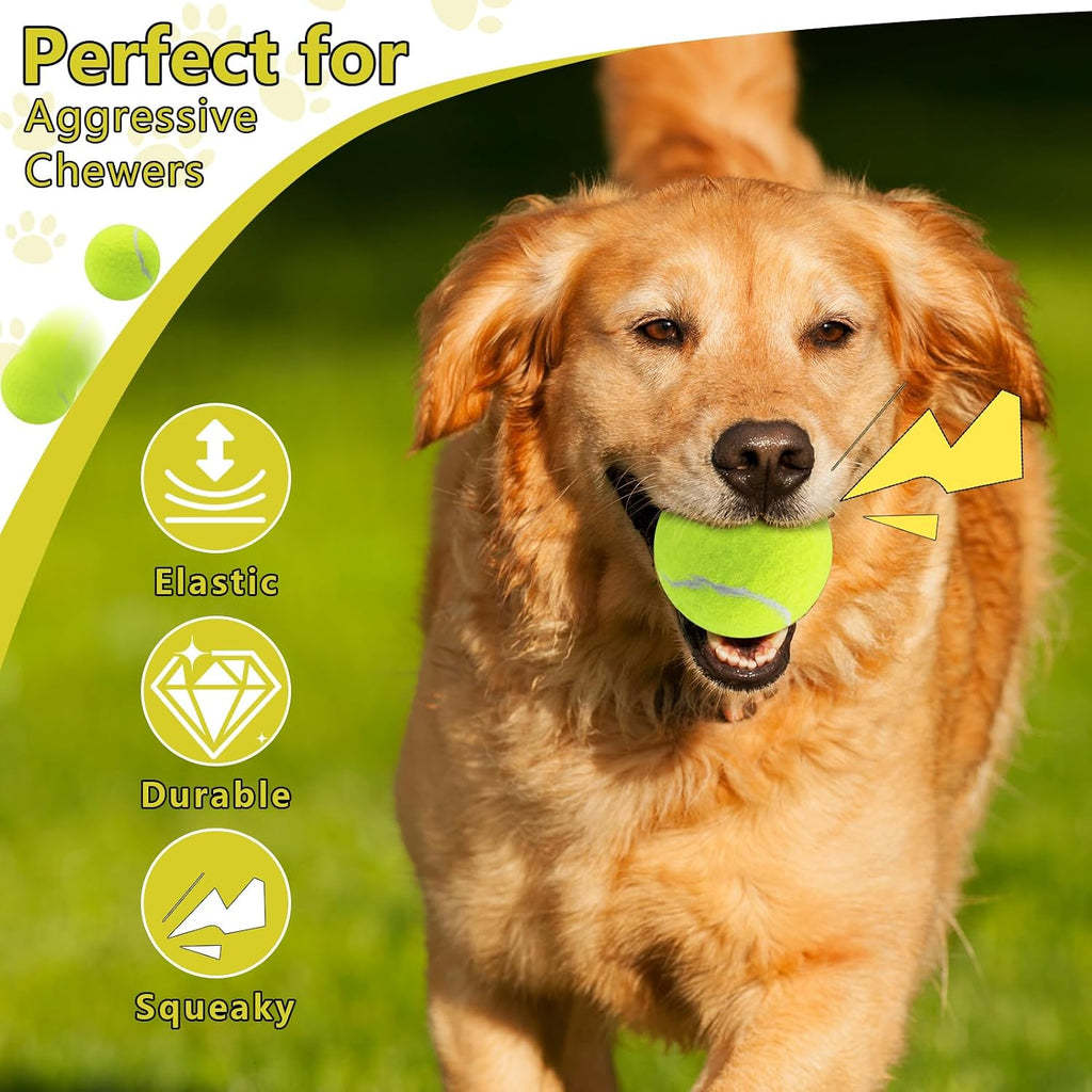 Close up of 2.5 inch durable dog exercise ball