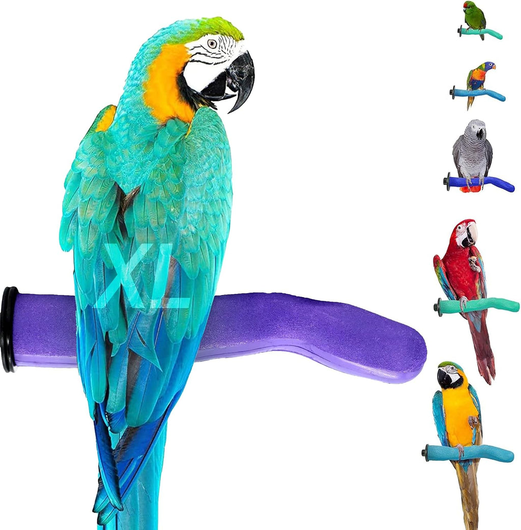 Sweet Feet and Beak Safety Pumice Bird Perch, Small Pedicure Perch, Green - Image 13