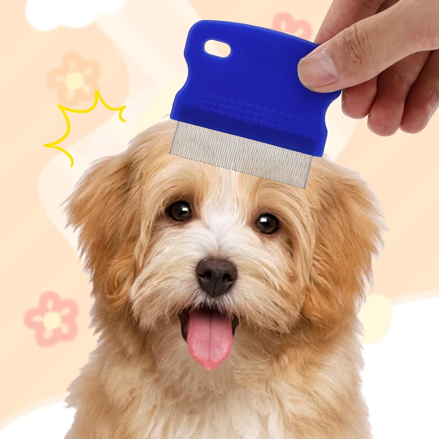 Complete packaging view of the imported four piece fine tooth pet comb kit for indoor pets