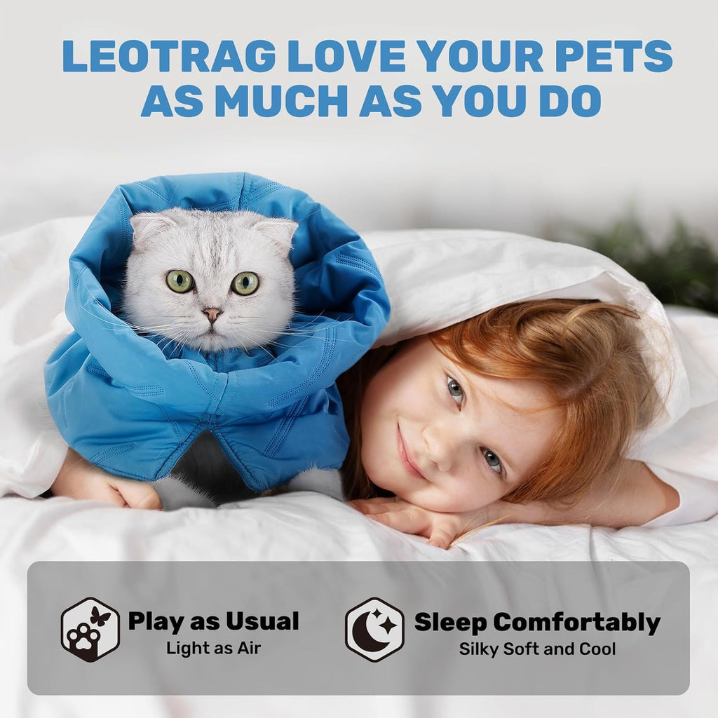 Small cat wearing a soft blue recovery collar sleeping comfortably