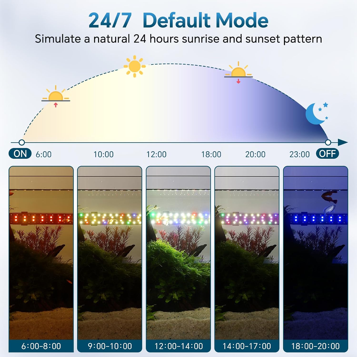 Aquarium light displaying different custom color modes behind swimming fish.