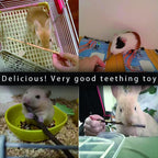 Chinchilla dental care chew toys in 500 gram pack