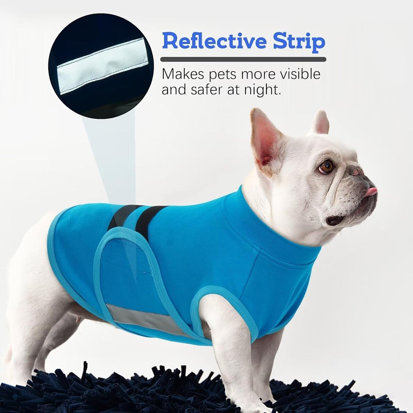 Dog wearing blue Migohi anxiety jacket demonstrating comfortable fit