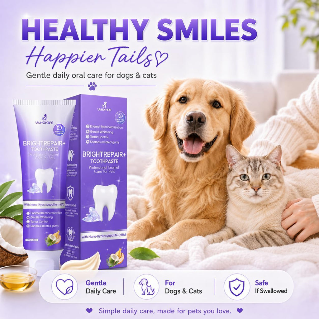 Daily fresh breath pet toothpaste application on a soft bristled brush