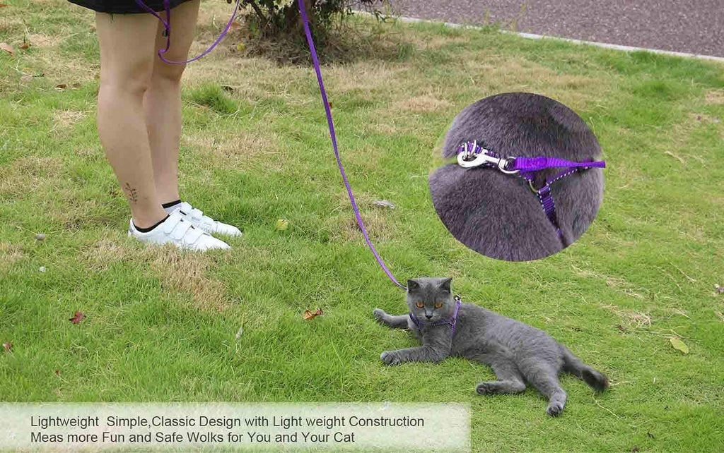 Purple traditional style dog leash reinforced machine stitching details