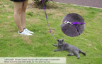 Purple traditional style dog leash reinforced machine stitching details