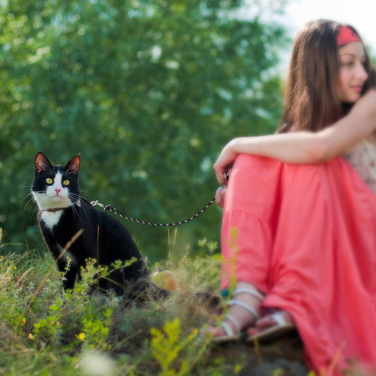 Outdoor training session using Rypet escape proof leash