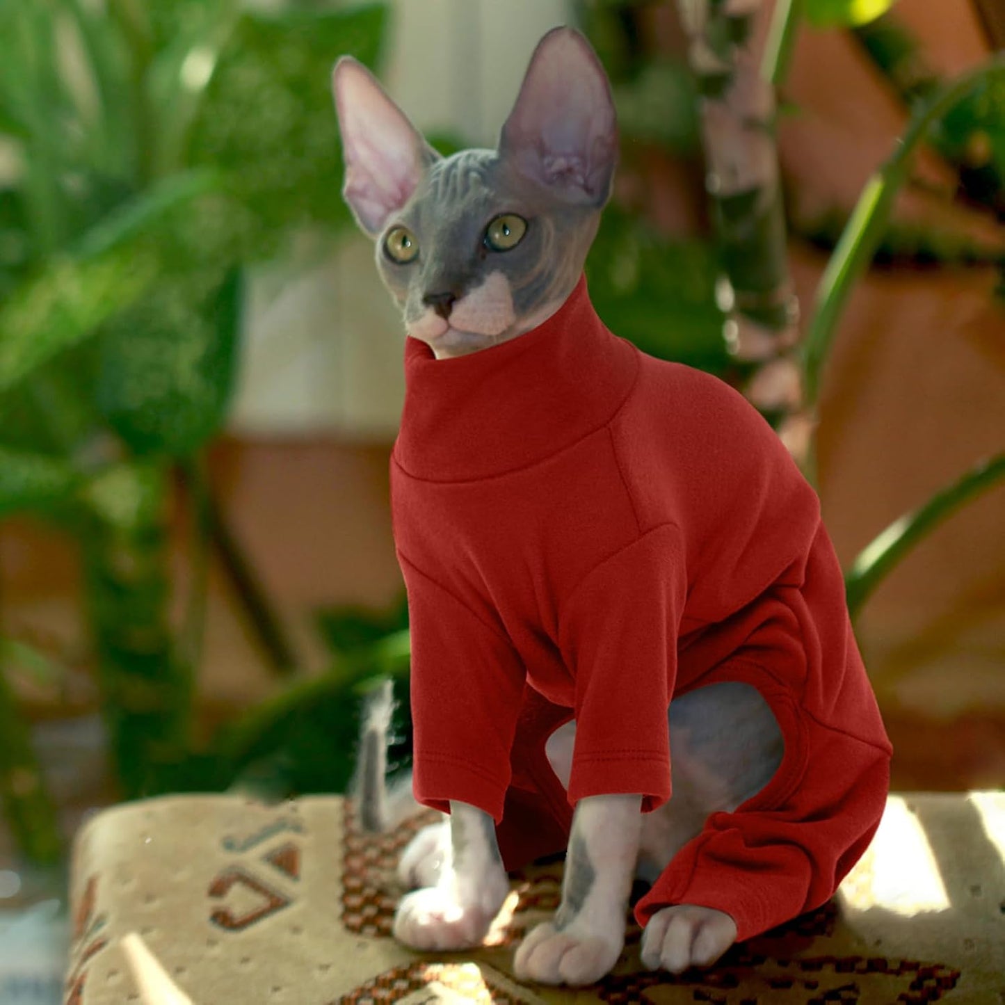ROZKITCH Sphynx Cat Pajamas Christmas, Breathable Soft Cat Jumpers for Cats Only, Coat with Four Legs, Warm Sweater T-Shirt Pajamas Jumpsuit Vest Cornish Rex Devon Rex Peterbald Red XS - Image 9