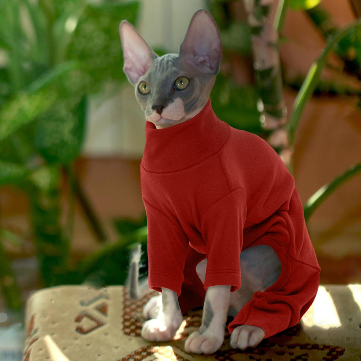 ROZKITCH Sphynx Cat Pajamas Christmas, Breathable Soft Cat Jumpers for Cats Only, Coat with Four Legs, Warm Sweater T-Shirt Pajamas Jumpsuit Vest Cornish Rex Devon Rex Peterbald Red XS - Image 9