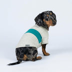Cat wearing comfortable lightweight Fitwarm pet tshirt