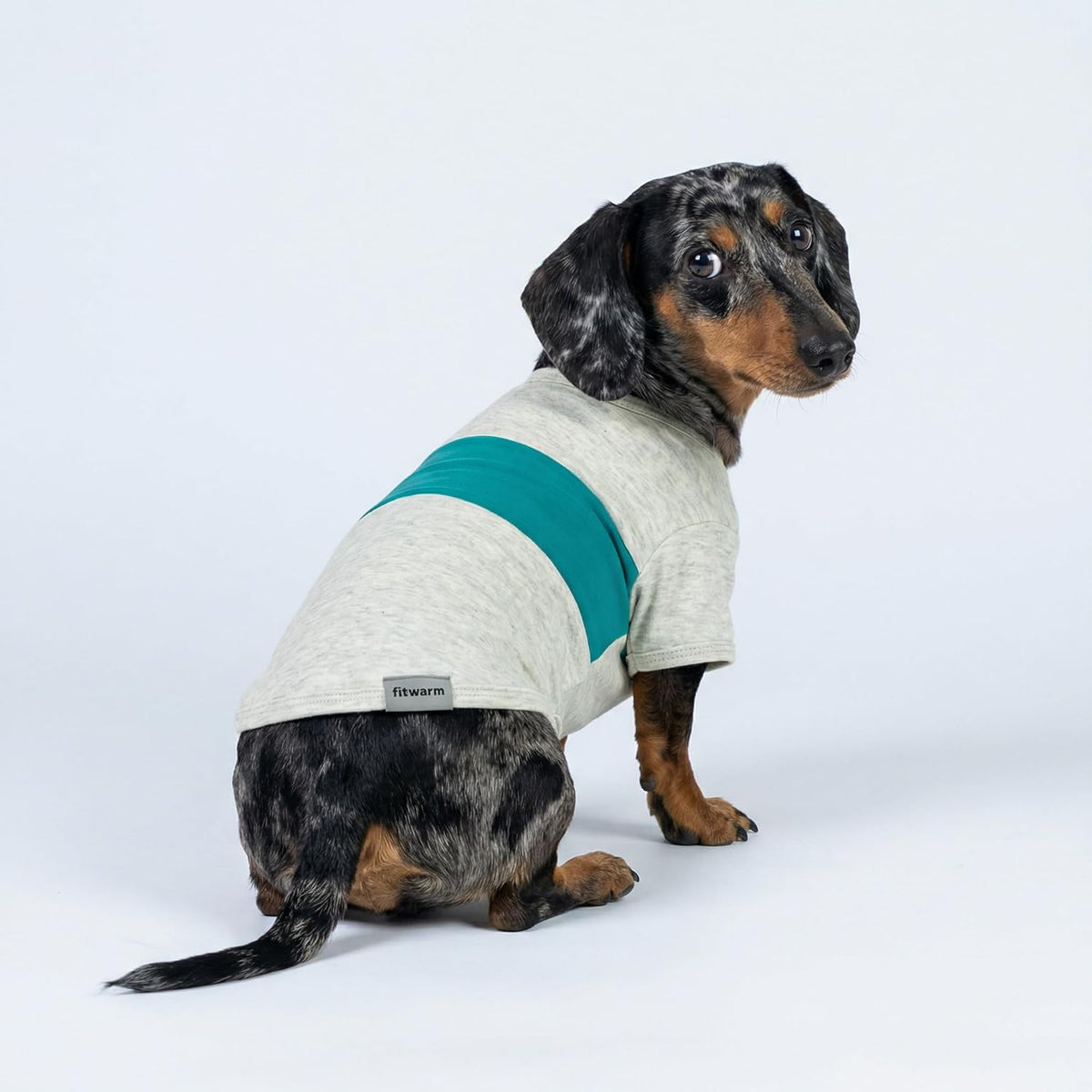Cat wearing comfortable lightweight Fitwarm pet tshirt