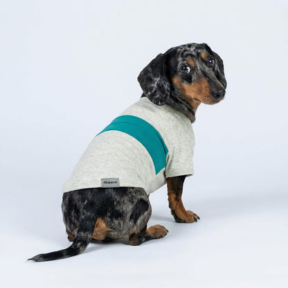 Cat wearing comfortable lightweight Fitwarm pet tshirt