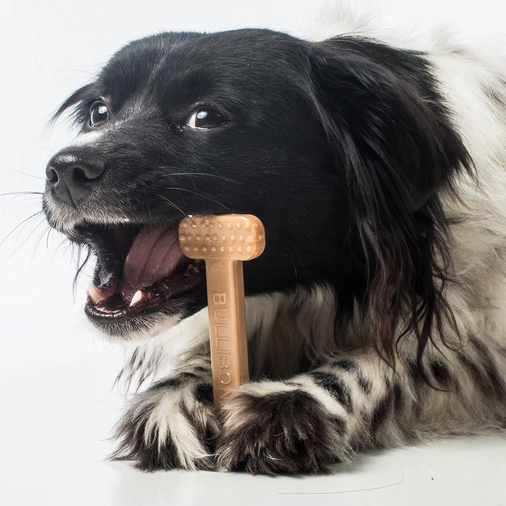 Bullibone Nylon Dog Chew Toy for Aggressive Chewers - Dental Hygiene Bone with Peanut Butter Flavor, Durable Tough Chew Toys for Small Dogs, Indestructible Dog Bone - Single - Image 9