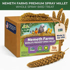 Nemeth Farms Spray Millet - Edible Tops Only, Non-GMO and Sun-Dried - 1 lb for Parakeets, Canaries and Finches - Image 2