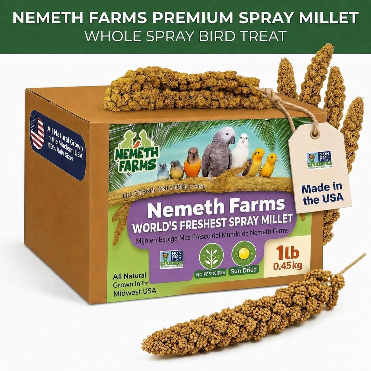 Nemeth Farms Spray Millet - Edible Tops Only, Non-GMO and Sun-Dried - 1 lb for Parakeets, Canaries and Finches - Image 2